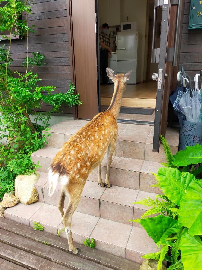 Mini Inn Nara- - 外国人向け - 日本人予約不可 Exteriör bild